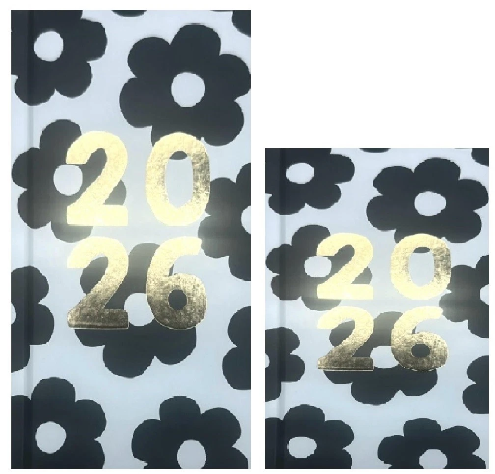 2026 DIARY POCKET SMALL / SLIM LINE METAL CORNER WEEK TO VIEW CUTE FASHION DIARY