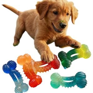 Dog Toy Puppy Chew Toy Squeaky Bone Puppy Teething Relief Aid Doggy Gift -2 Pack