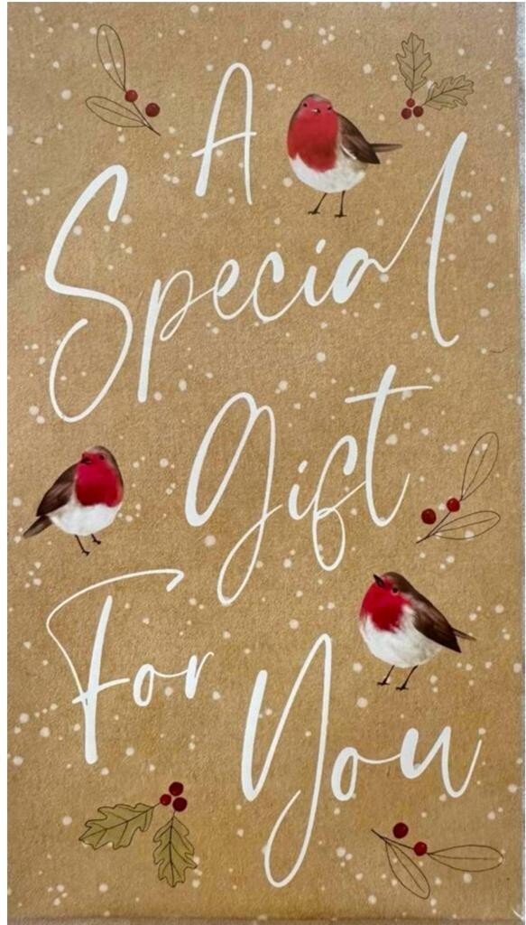 24 x Christmas Money Envelopes Gift Card Voucher Wallet Self-Sealing Xmas Gift