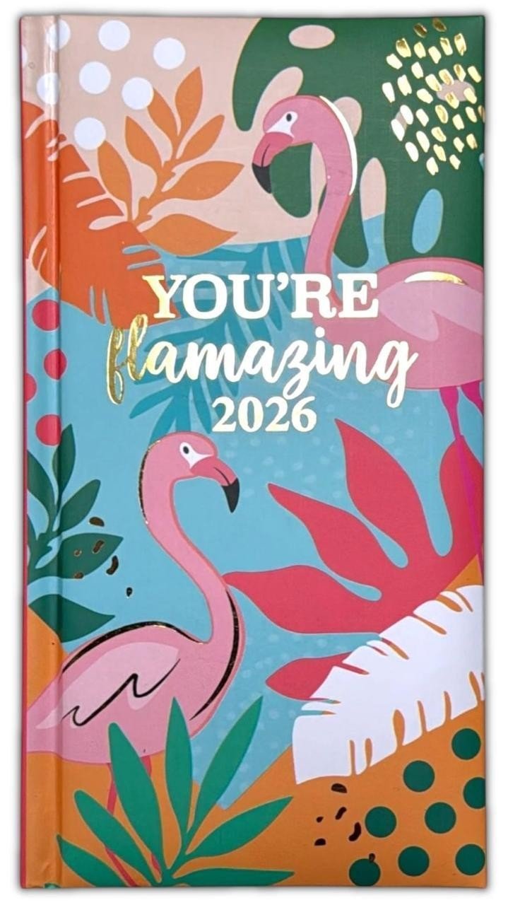 2026 DIARY POCKET SMALL / SLIM LINE METAL CORNER WEEK TO VIEW CUTE FASHION DIARY