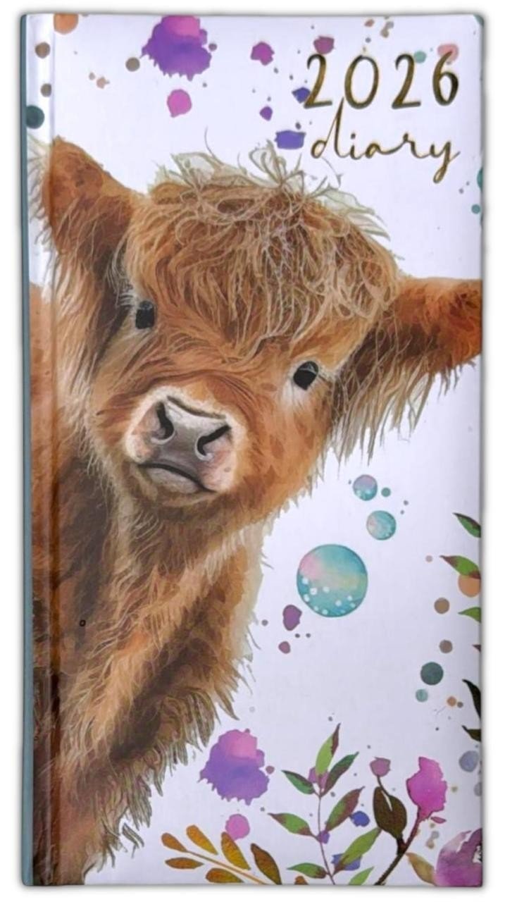 2026 DIARY POCKET SMALL / SLIM LINE METAL CORNER WEEK TO VIEW CUTE FASHION DIARY