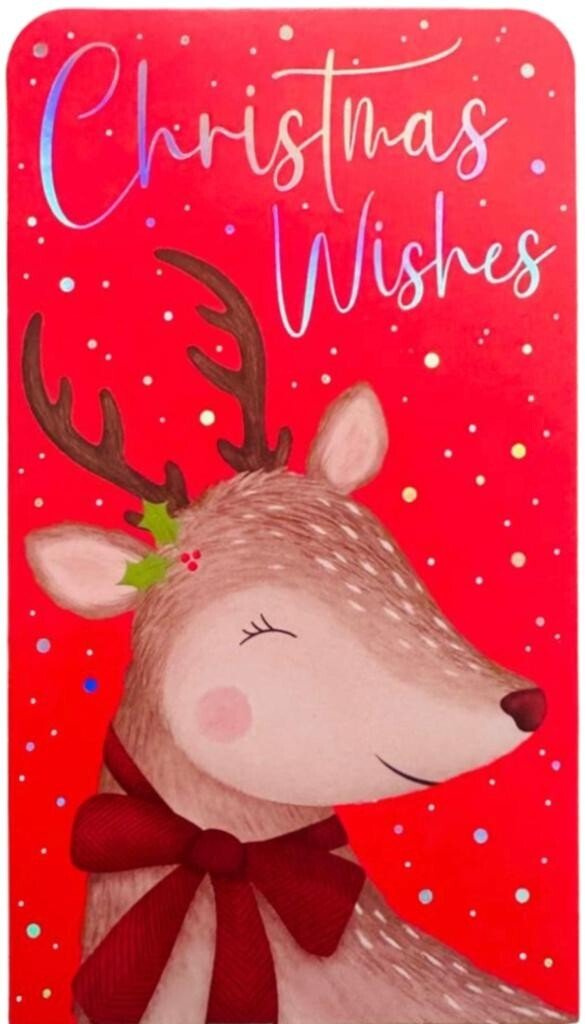 8 Cute Christmas Money Wallets with Envelopes Assorted Designs Novelty Gift Card