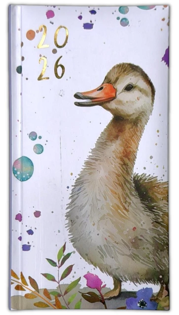 2026 DIARY POCKET SMALL / SLIM LINE METAL CORNER WEEK TO VIEW CUTE FASHION DIARY