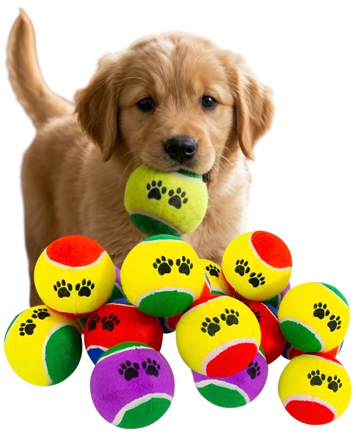 16 Pack Pet Tennis Balls Dog Puppy Fetch Throwing Outdoor Catch Play Training UK