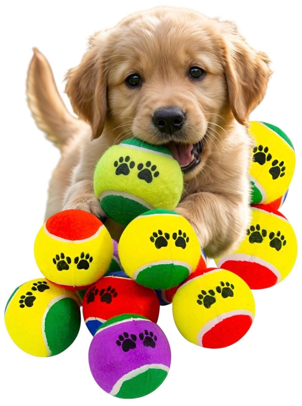 16 Pack Pet Tennis Balls Dog Puppy Fetch Throwing Outdoor Catch Play Training UK