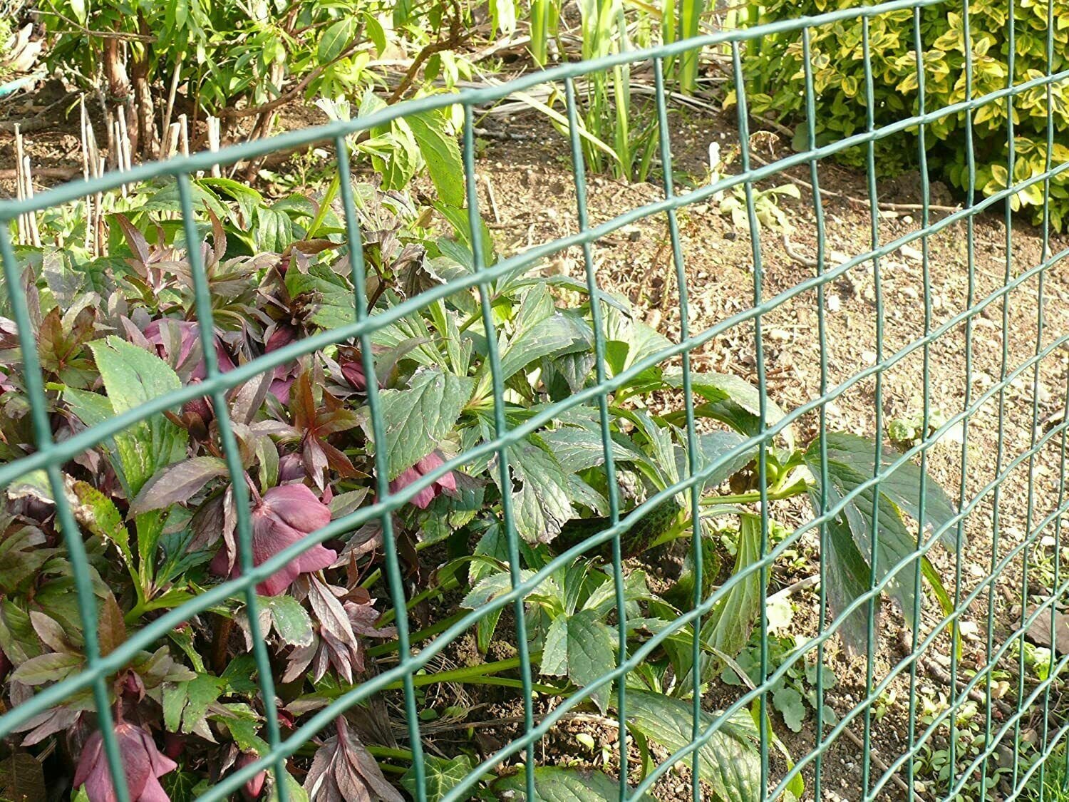 PVC Coated Wire Mesh Fencing 10M x 0.9M Height Green Galvanised Garden Fence