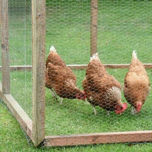 PVC Coated Wire Mesh Fencing 10M x 0.9M Height Green Galvanised Garden Fence
