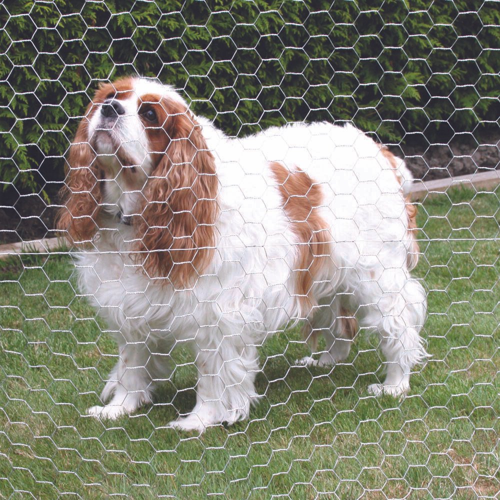 PVC Coated Wire Mesh Fencing 10M x 0.9M Height Green Galvanised Garden Fence