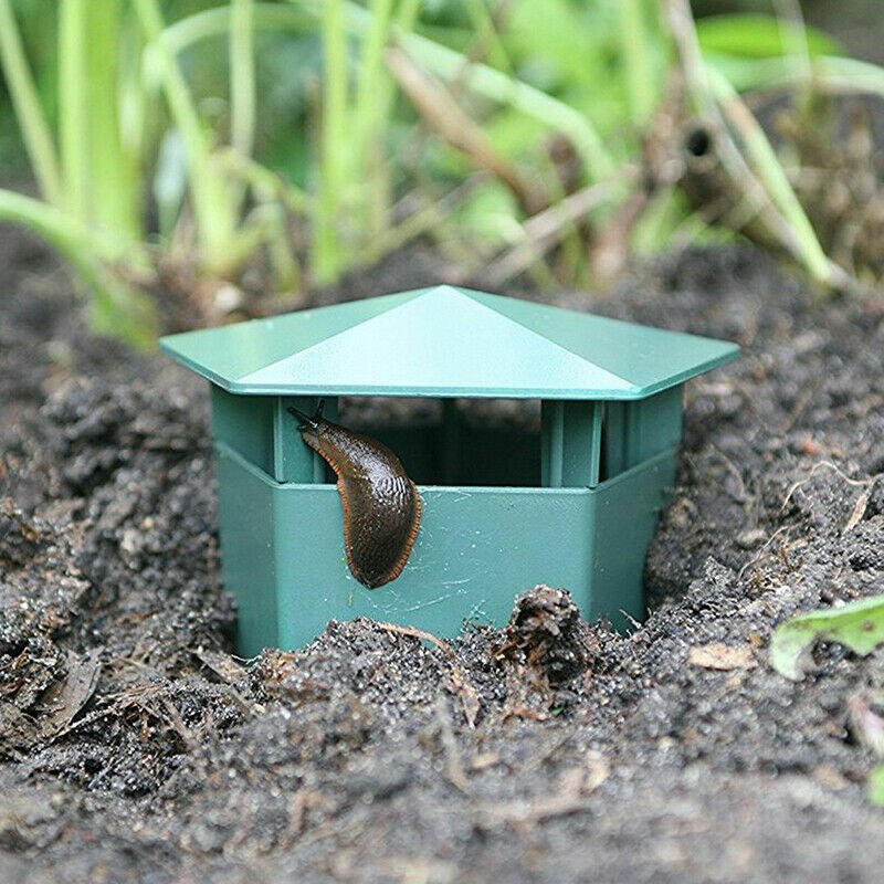 2 x BEER SLUG SNAIL SAFE SIMPLE EASY TRAP TRAPS NO CHEMICALS GARDEN SOIL GRASS