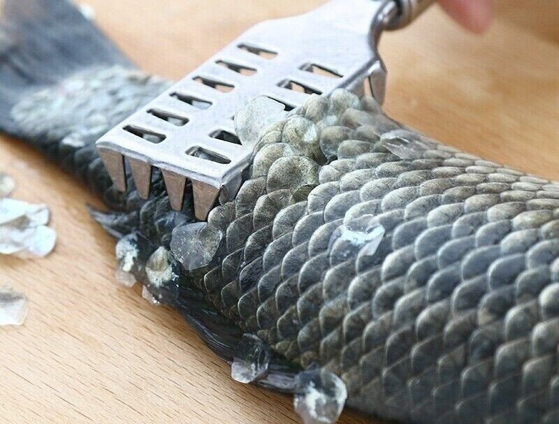 Stainless Steel Fish Cleaner Scaler Scraper Peeler Fish Scale Remover Kitchen
