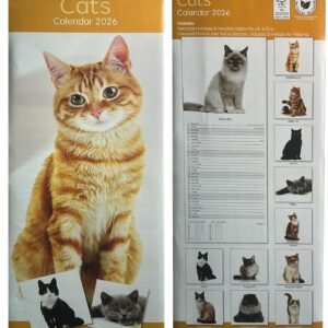2026 Slim Month to View Spiral Bound Funny Quote Cute Cats Hanging Wall Calendar