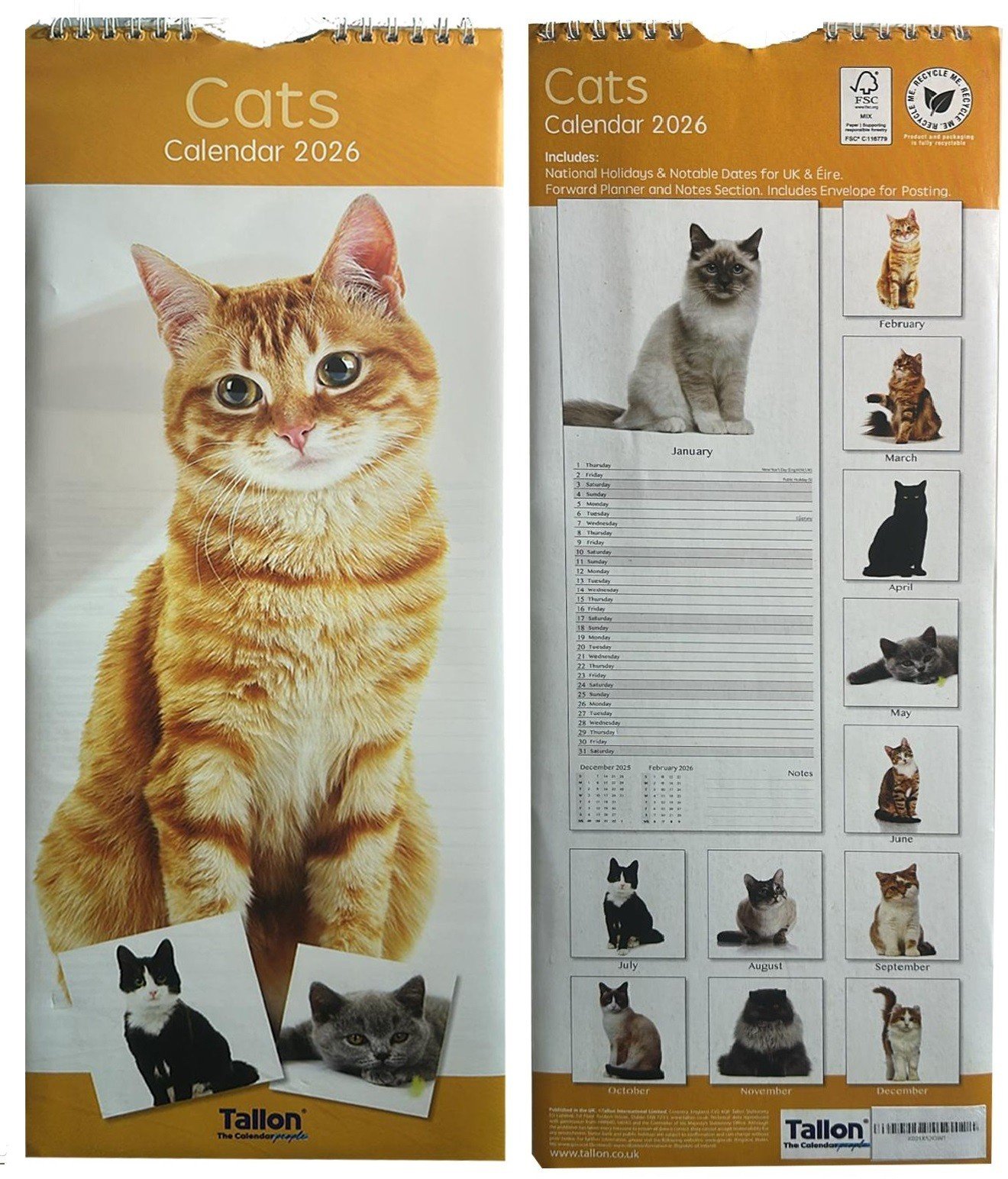 2026 Slim Month to View Spiral Bound Funny Quote Cute Cats Hanging Wall Calendar