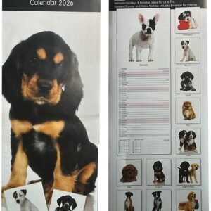 2026 Slim Month To View Year Wall Calendar Flowers Gardens Cute Kittens Puppies