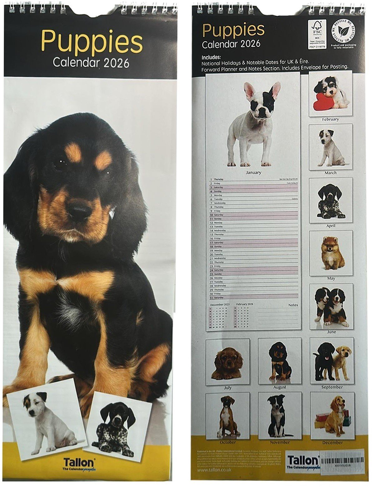 2026 Slim Month To View Year Wall Calendar Flowers Gardens Cute Kittens Puppies