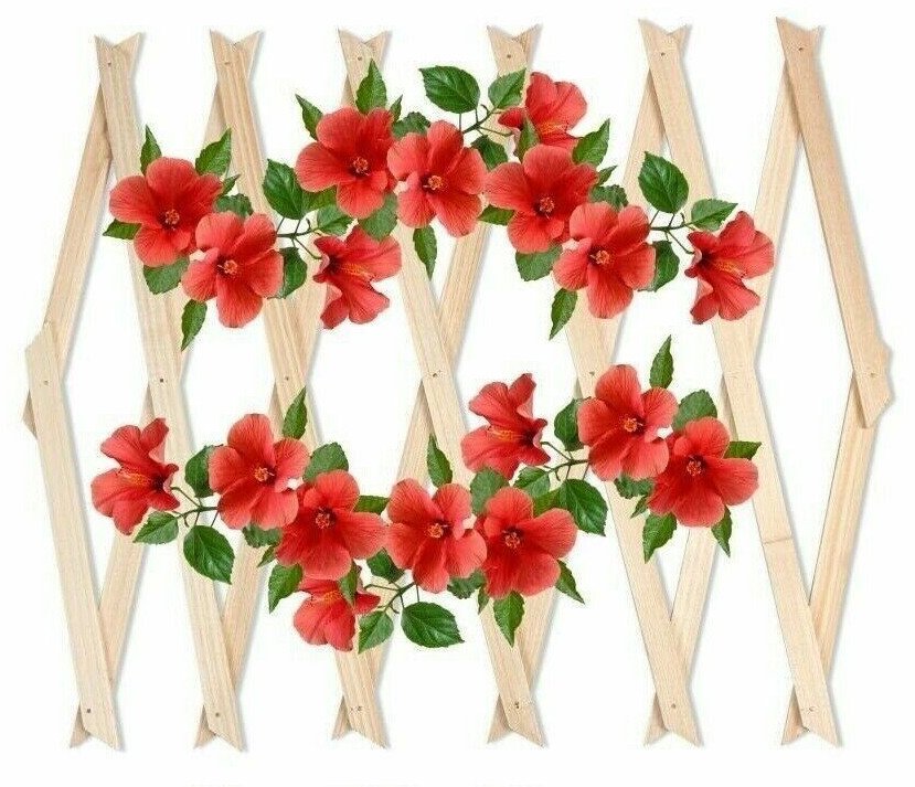 3 x Expanding Wooden Trellis Climbing Plants Fence Screening Lattice 180 x 120cm