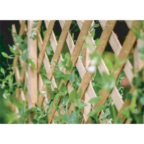 3 x Expanding Wooden Trellis Climbing Plants Fence Screening Lattice 180 x 120cm