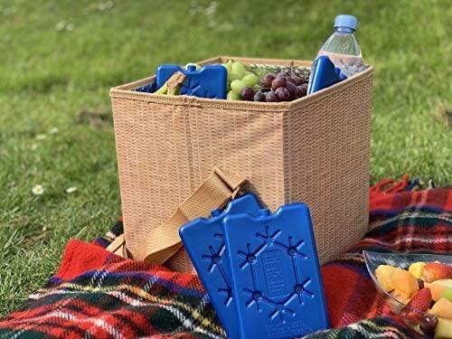 3 x Large 800g Ice Pack Cool Box Bag Freezer Block Travel Camp Picnic Reusable