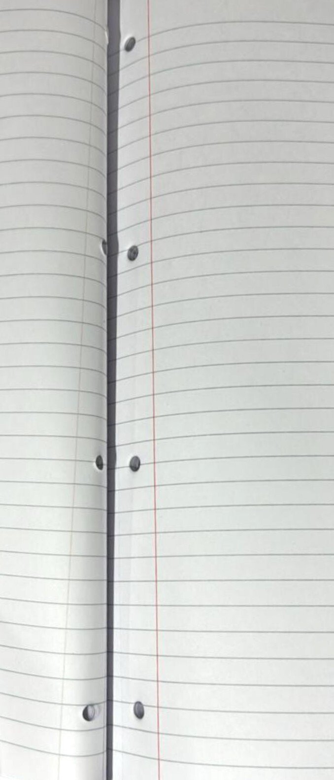 2x 100 Pages Refill Pad A4 High Quality Lined Paper Wide Ruled Margin Notes Book