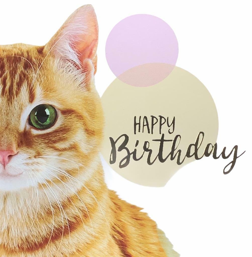 Pack of 8 Mixed Assorted Happy Birthday Pet Cards Greeting Card Cats & Dogs