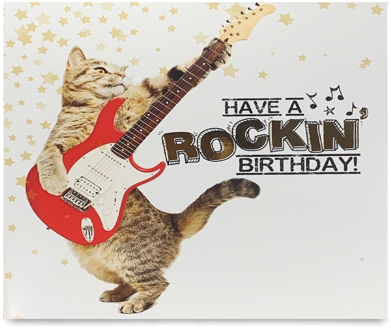 Pack of 8 Mixed Assorted Happy Birthday Pet Cards Greeting Card Cats & Dogs