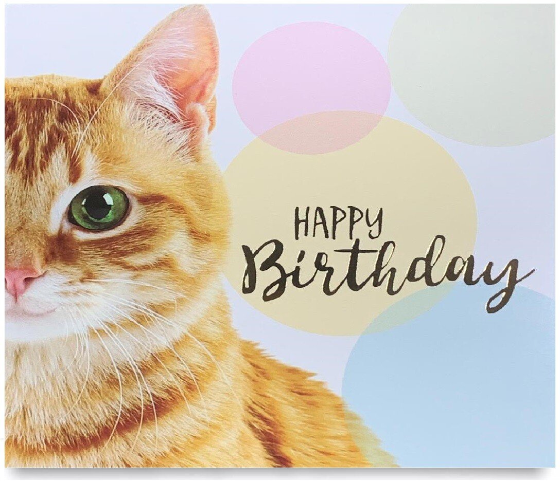 Pack of 8 Mixed Assorted Happy Birthday Pet Cards Greeting Card Cats & Dogs