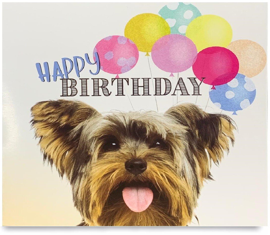 Pack of 8 Mixed Assorted Happy Birthday Pet Cards Greeting Card Cats & Dogs