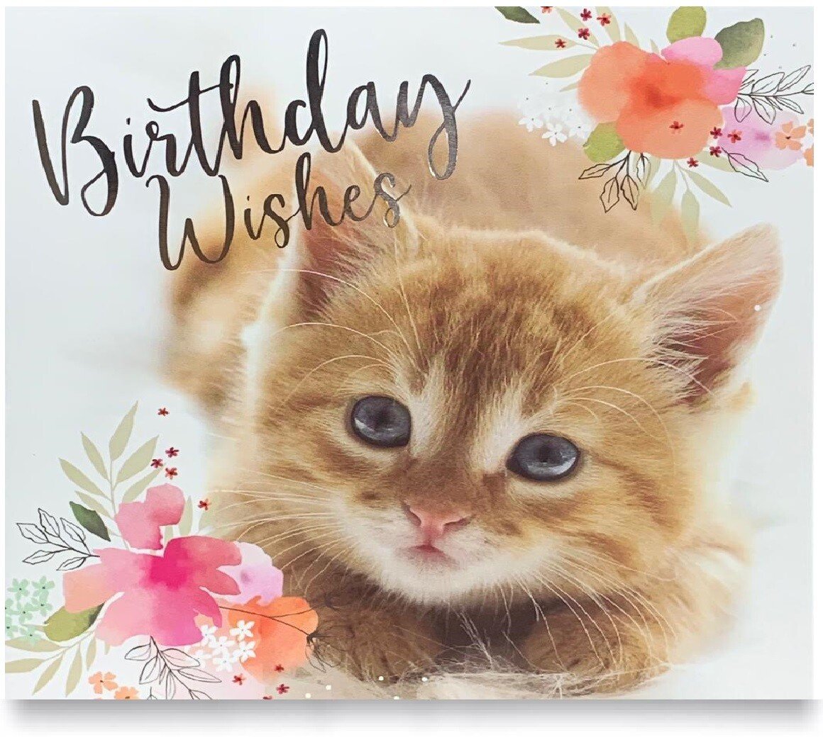 Pack of 8 Mixed Assorted Happy Birthday Pet Cards Greeting Card Cats & Dogs