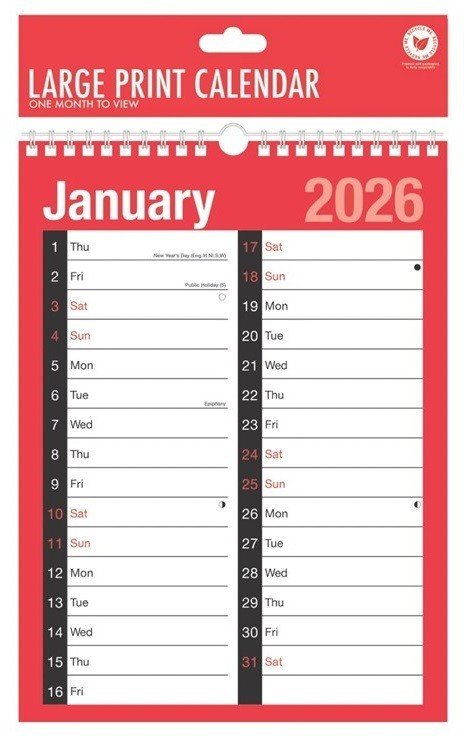 2026 Wall Calendar Large Month to View Planner, Easy View Slim Calendar Office