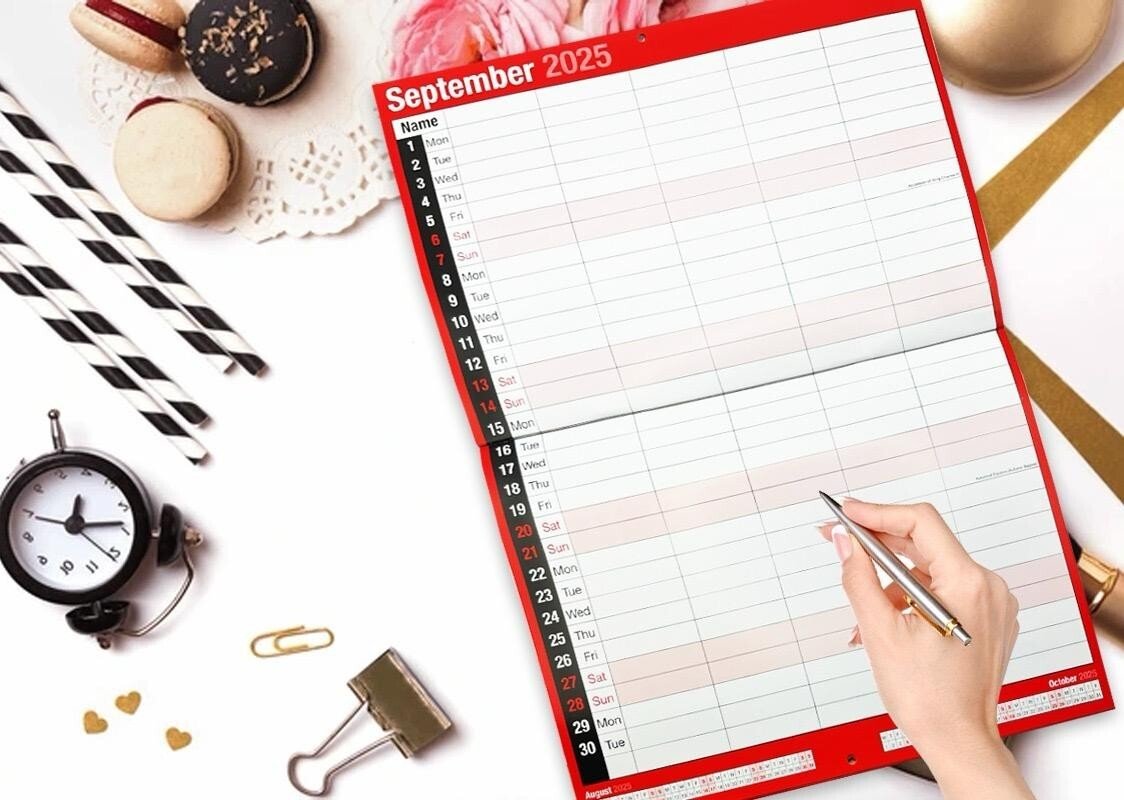 2026 Monthly Planner Wall Hanging Calendar Month to View Spiral Bound Organiser