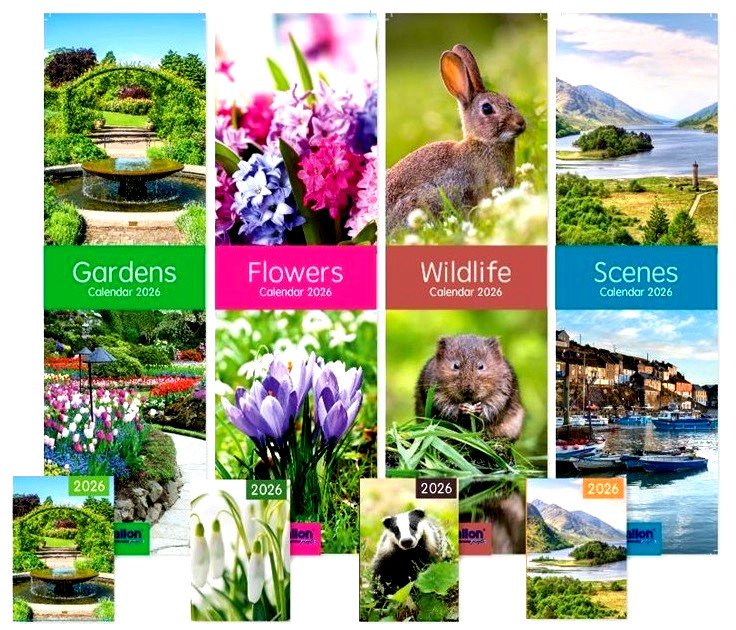 2026 Slimline Calendar New Year Month To View Home Wall Calendar With Diary