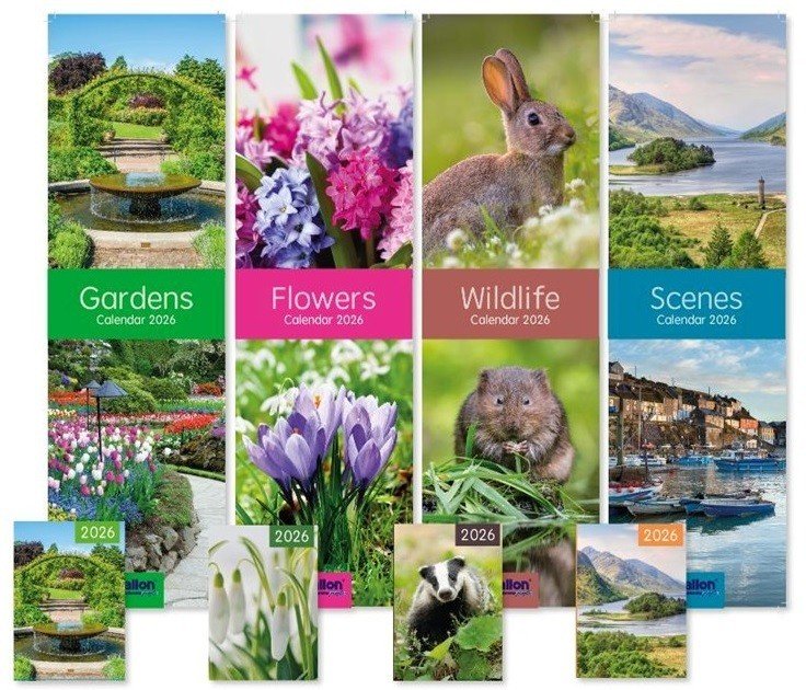 2026 Slimline Calendar New Year Month To View Home Wall Calendar With Diary