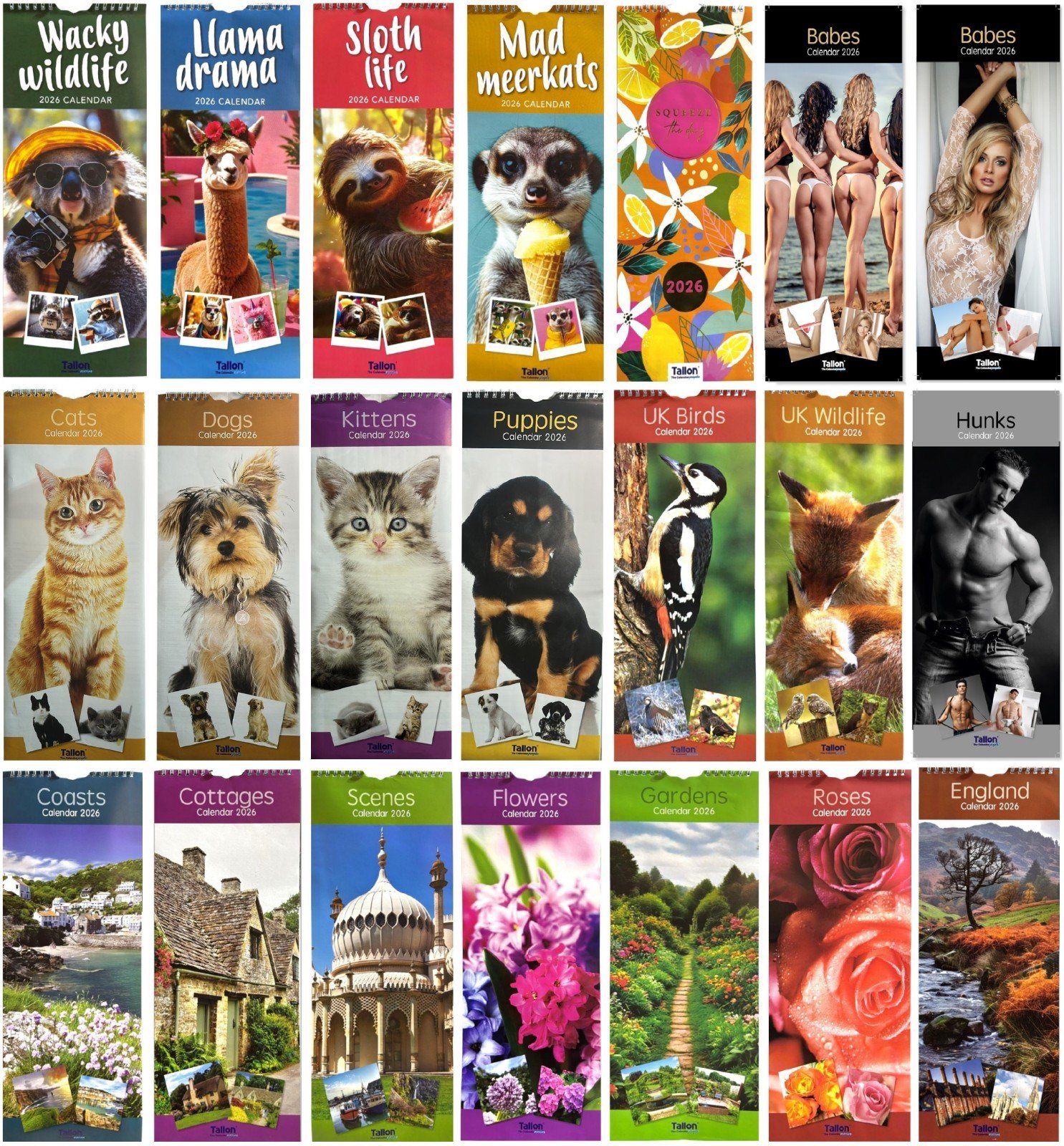 2026 Slim Month to View Spiral Bound Cute Illustrative Wall Calendar Home Office