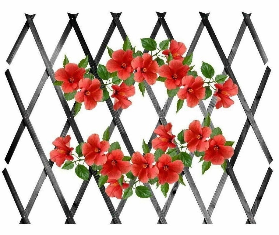 3 x Expanding Dark Grey Wooden Trellis Plants Fence Screening Lattice 180 x 90cm