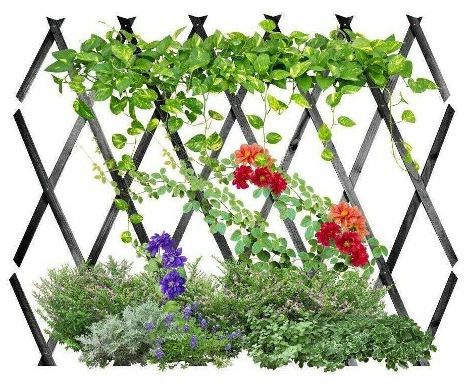 3 x Expanding Dark Grey Wooden Trellis Plants Fence Screening Lattice 180 x 90cm