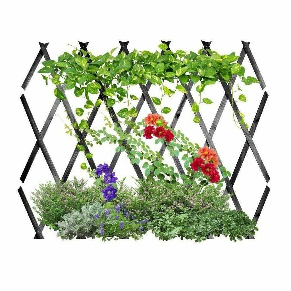 3 x Expanding Dark Grey Wooden Trellis Plants Fence Screening Lattice 180 x 90cm