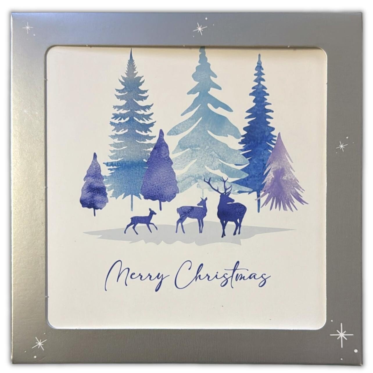 10/20/50 Pack Luxury Traditional Santa Square Xmas Christmas Cards & Envelopes