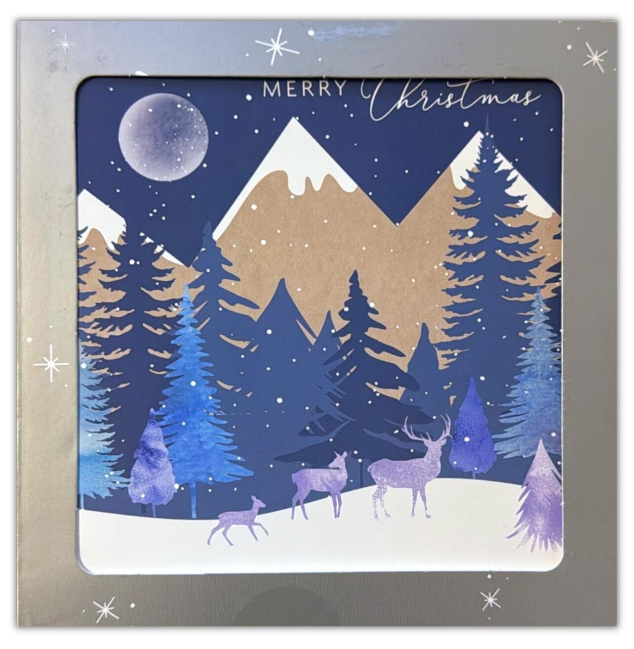 10/20/50 Pack Luxury Traditional Santa Square Xmas Christmas Cards & Envelopes