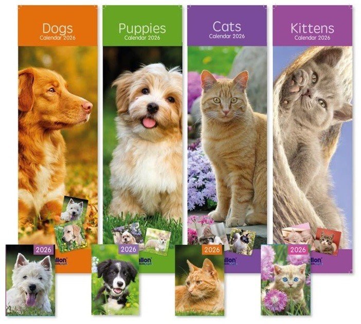 2026 Slimline Calendar New Year One Month View Home Wall Calendar & Pocket Diary