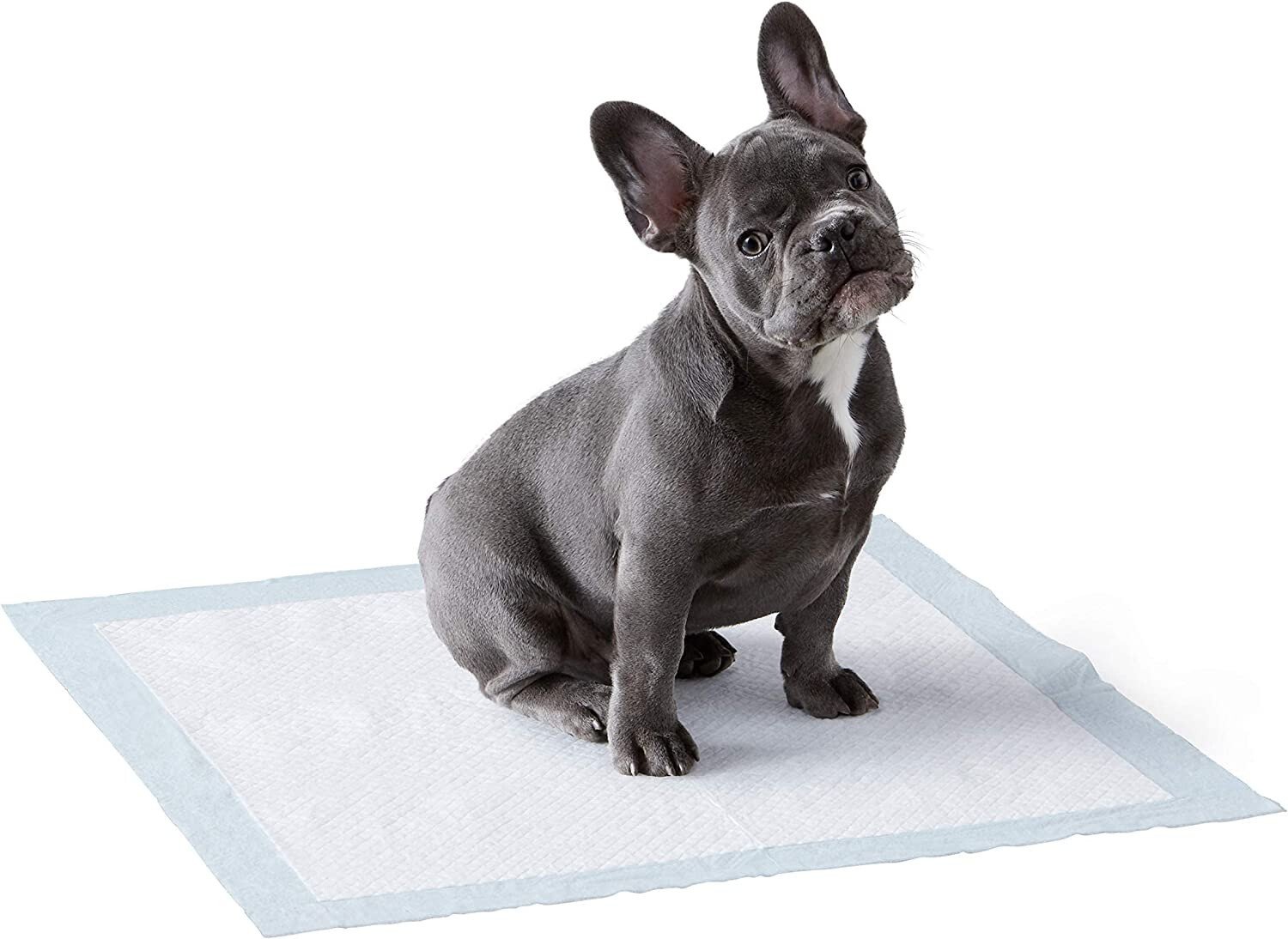 HEAVY DUTY DOG PUPPY LARGE TRAINING WEE WEE PADS PAD FLOOR TOILET MATS 57 x 57cm