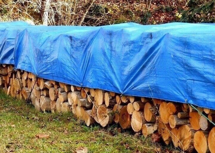 Heavy Duty Tarpaulin Waterproof Cover Tarp Ground Camping Sheet Blue