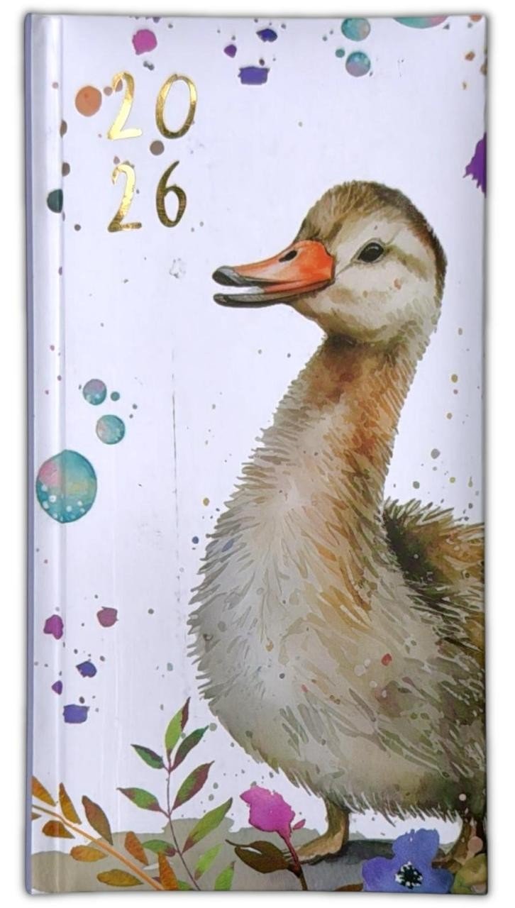 2026 Diary Slim Week to View Full Year Organiser Colorful Duck Diary Planner